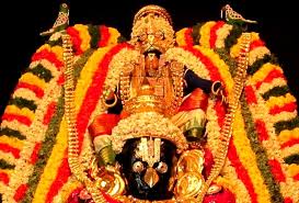 91ம் ஆண்டாக நடந்த தஞ்சையின் முக்கிய நிகழ்வு! 26 கருட சேவையில் காட்சியளித்த‌ பெருமாள்…
