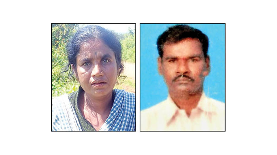 எனது கணவரை புலி கொன்னுடுச்சு… கதறியழுத மனைவியை கைது செய்த போலீஸ்!