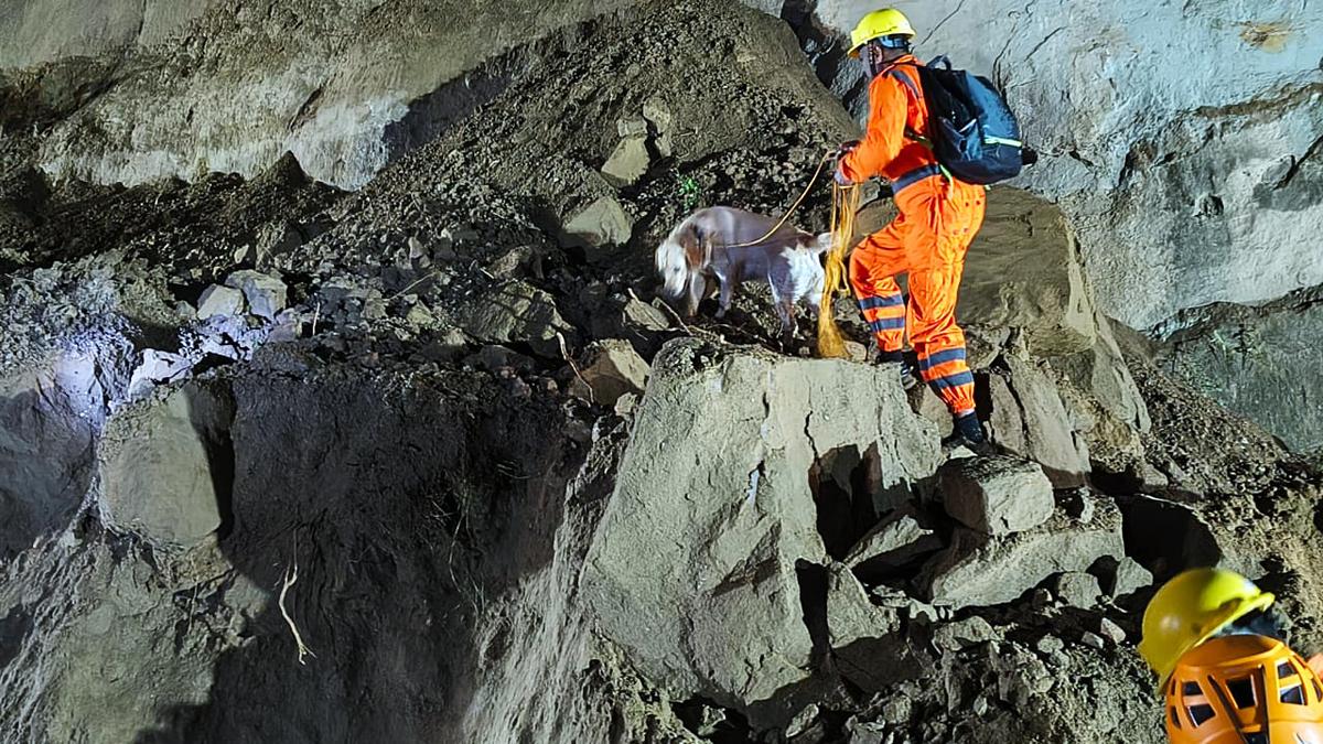 கனமழையால் திடீர் நிலச்சரிவு… பேருந்து மண்ணுக்குள் புதைந்து 18 பேர் பலியான சோகம்