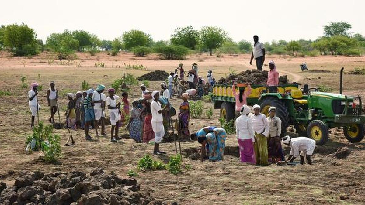 நூறு நாள் வேலை உறுதியளிப்பு சட்டம்: டிச.24-ல் திமுக கூட்டணி சார்பில் ஆர்ப்பாட்டம்